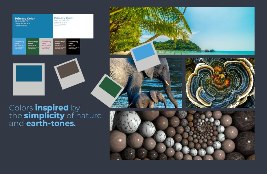 Behance-PresentationArtboard 4