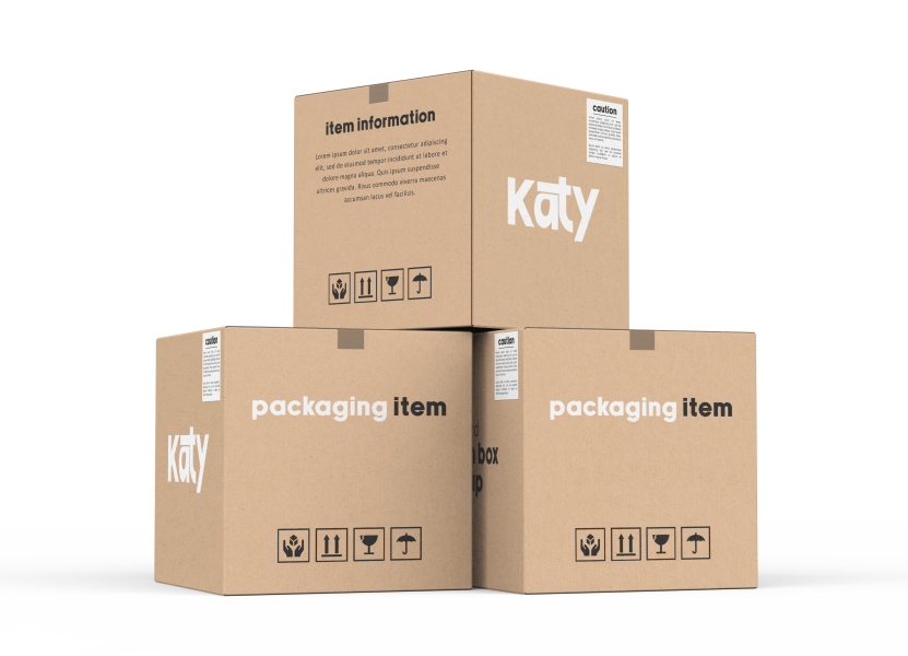 Cardboard_Carton_2_katy